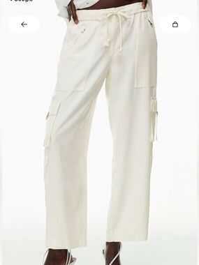 Aritzia Little Moon Como Cargo Pants NWOT (Size M)